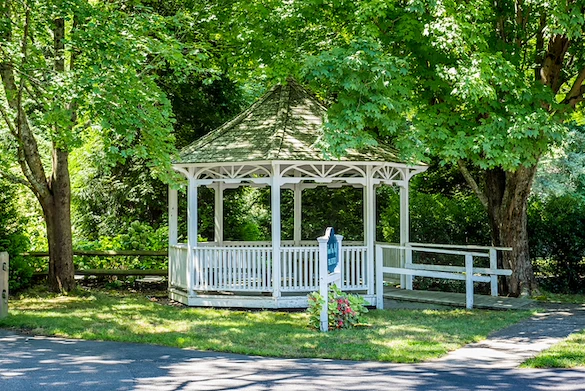 Image of Elderwood Of Scallop Shell At Wakefield (10)