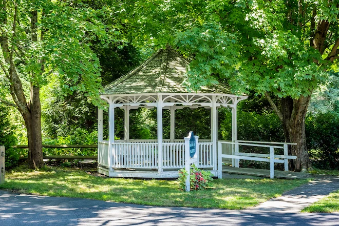 Image of Elderwood Of Scallop Shell At Wakefield (10)