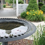 Image of Greencroft Goshen (7)