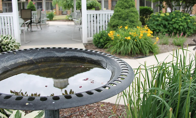 Image of Greencroft Goshen (7)