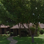 Image of Silver Leaf Richardson on Blue Bell (1)