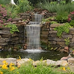 Image of Delmar Gardens Of Lenexa (9)