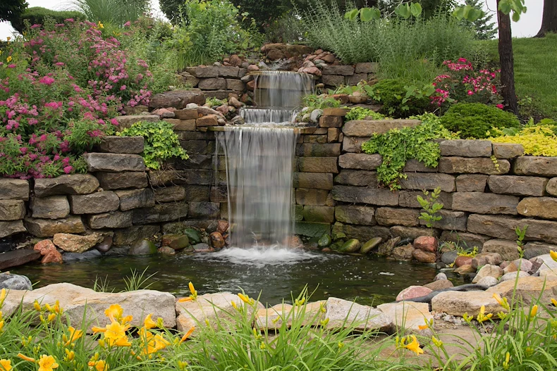 Image of Delmar Gardens Of Lenexa (9)
