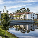 Image of Starling at San Jose (2)