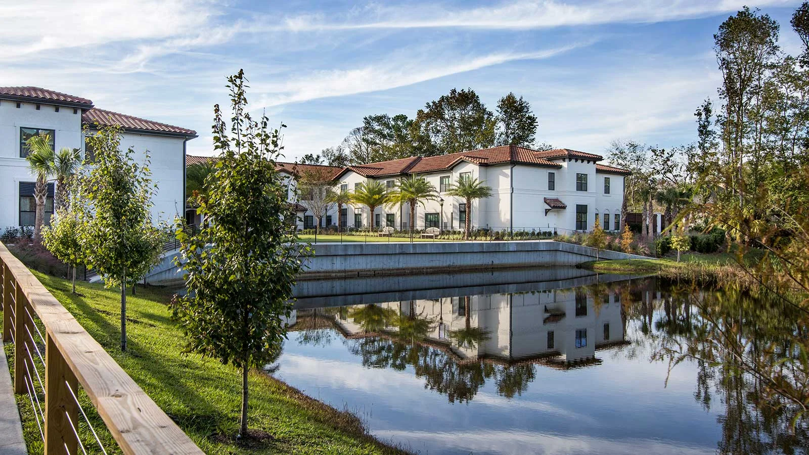 Image of Starling at San Jose (2)