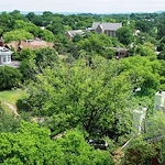 Image of Greenbriar At The Altamont (5)