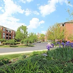 Image of Kirkland Village (1)