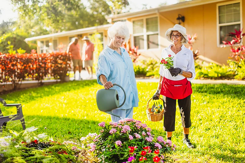 Image of Westminster Bradenton, Manor Neighborhood (2)