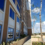 Image of Hale Moena Kupuna (2)