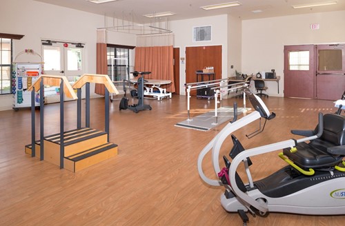 Rehabilitation Gym