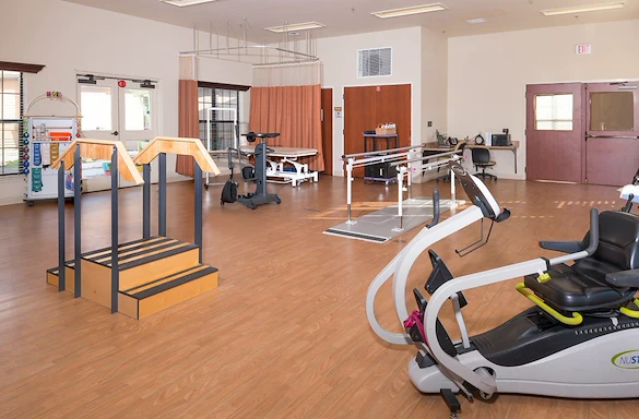 Rehabilitation Gym
