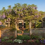 Image of Southpoint Rehabilitation And Healthcare Center (5)