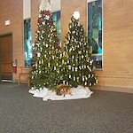 Image of Stevens Point Health Services (2)