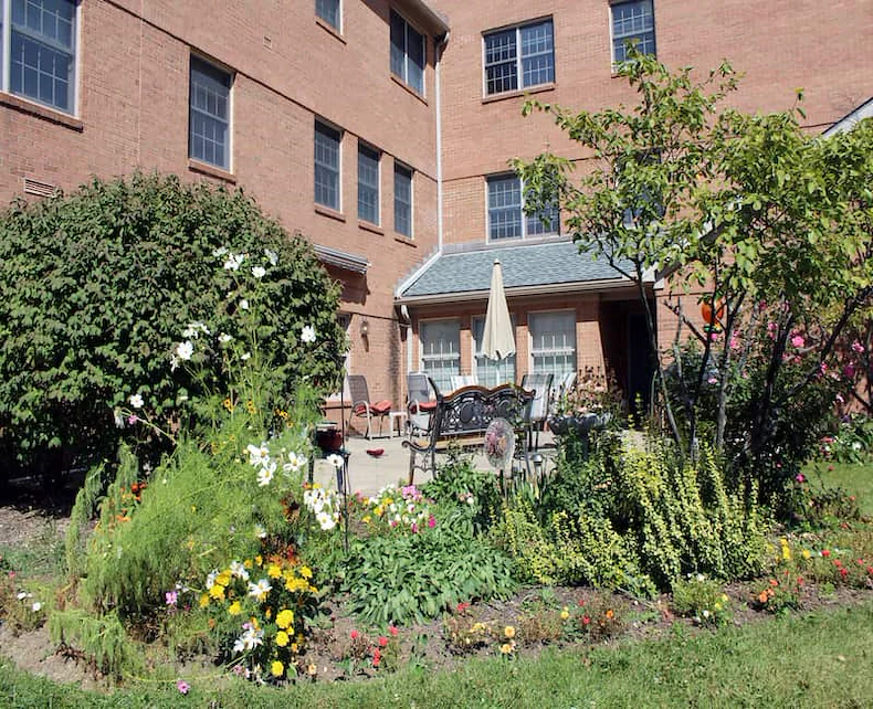 Image of Cherry Blossom (3)