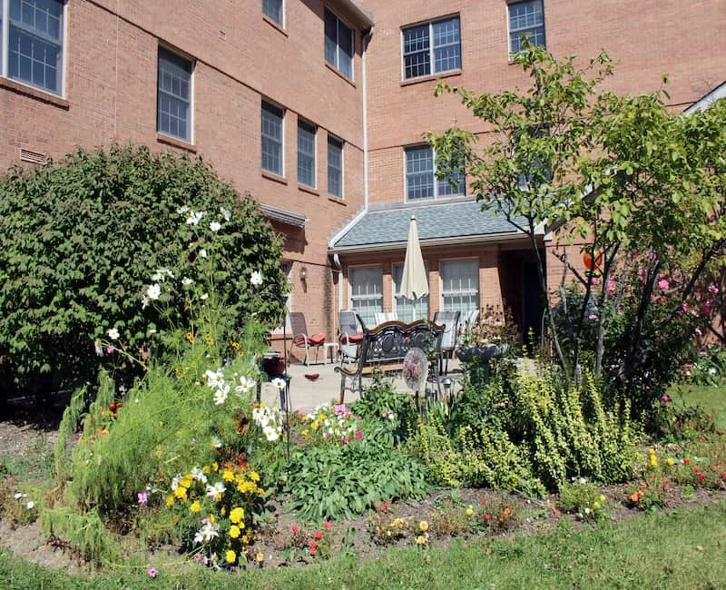 Image of Cherry Blossom (3)