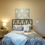 Image of Silver Birch of Muncie (6)