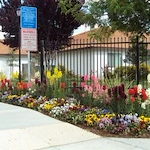 Image of Oak Park Seniors (3)