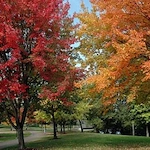 Image of Cascade Manor (6)