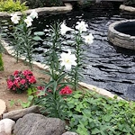 Image of Cornerstone of Oak Creek (3)