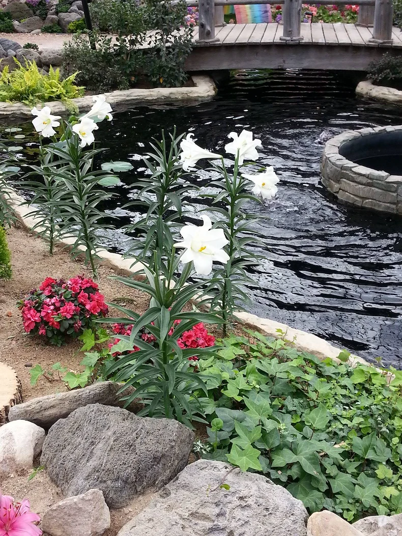 Image of Cornerstone of Oak Creek (3)