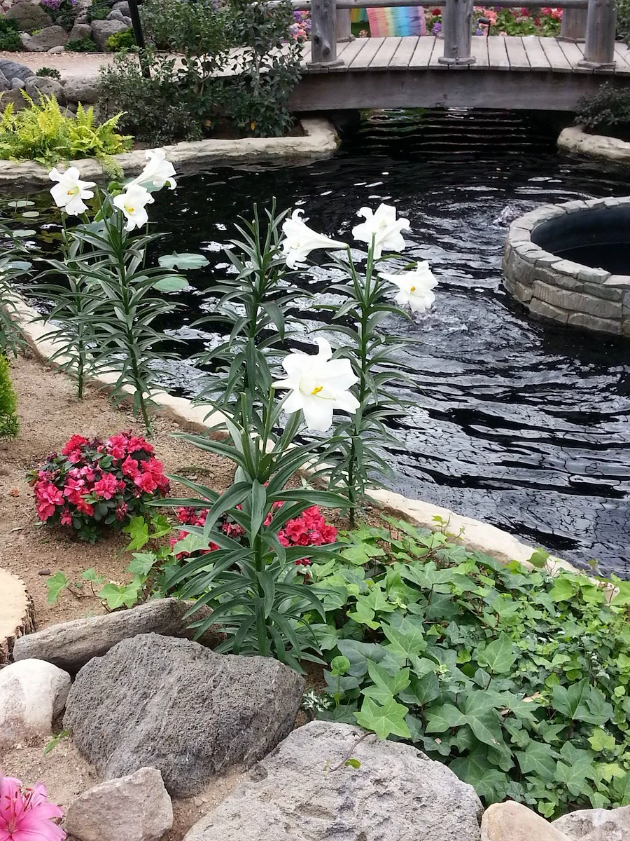 Image of Cornerstone of Oak Creek (3)