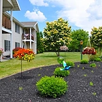 Image of The Greens (2)