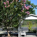 Image of Homewood at Williamsport Senior Living (4)