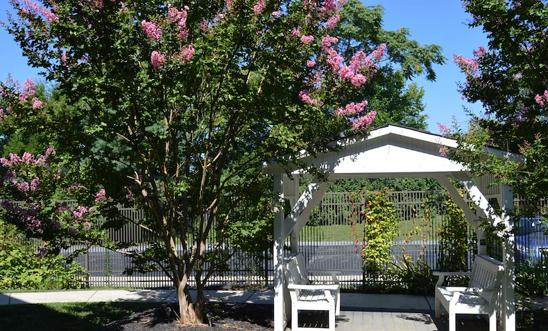 Image of Homewood at Williamsport Senior Living (4)