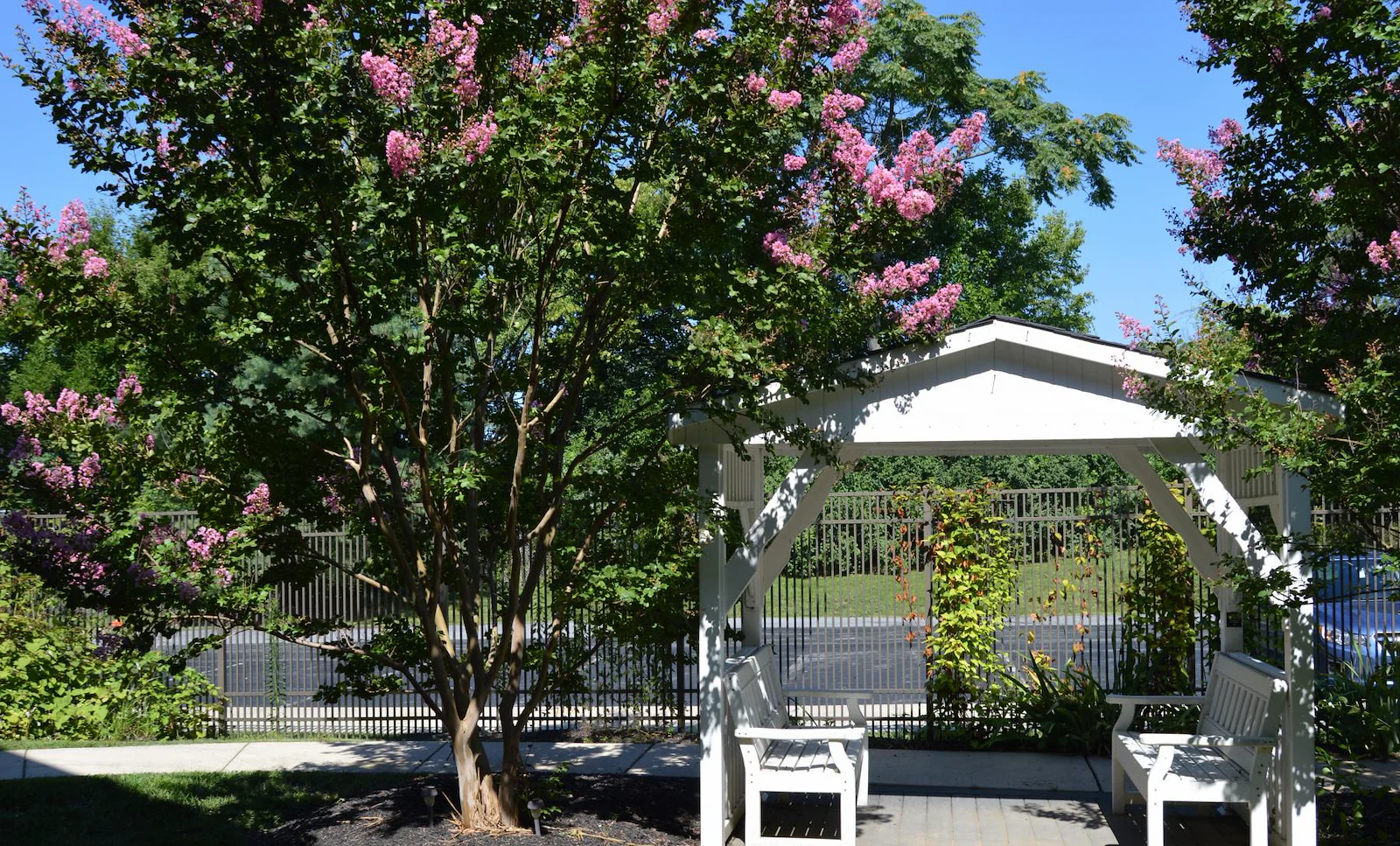 Image of Homewood at Williamsport Senior Living (4)