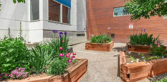 Image of Residences at University Hills, Senior Residences for those 62+ (9)