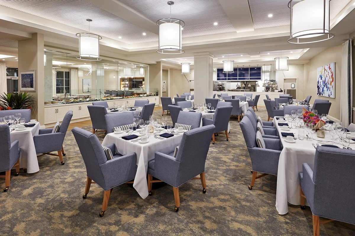 Image of Vivante on the Coast (8)