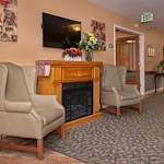 Image of Woodlands The (9)