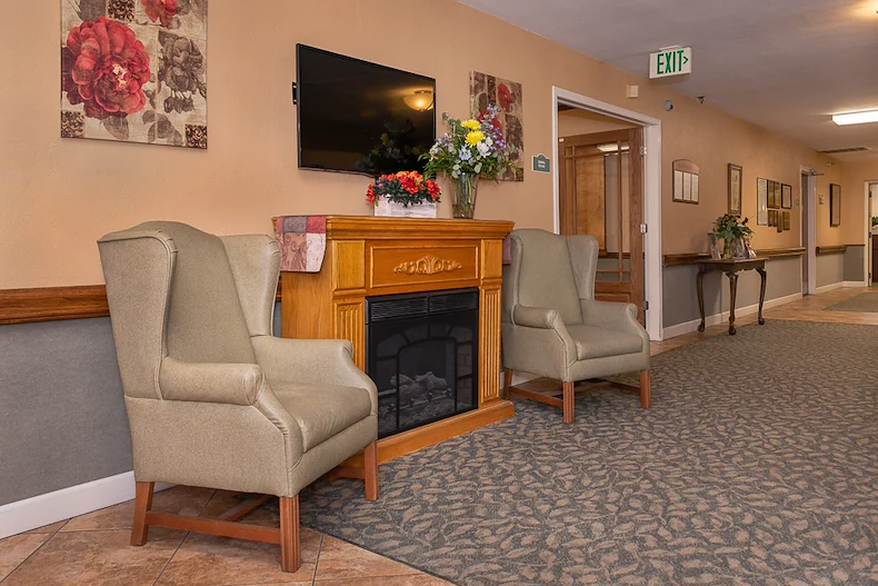 Image of Woodlands The (9)