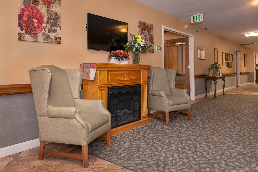 Image of Woodlands The (9)