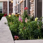 Image of Heritage Monona (7)