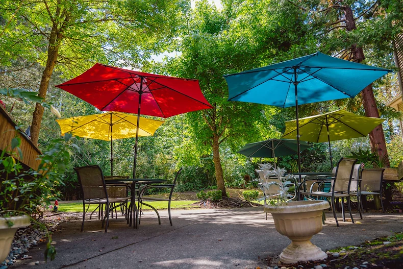 Image of Vineyard Park of Port Orchard (9)