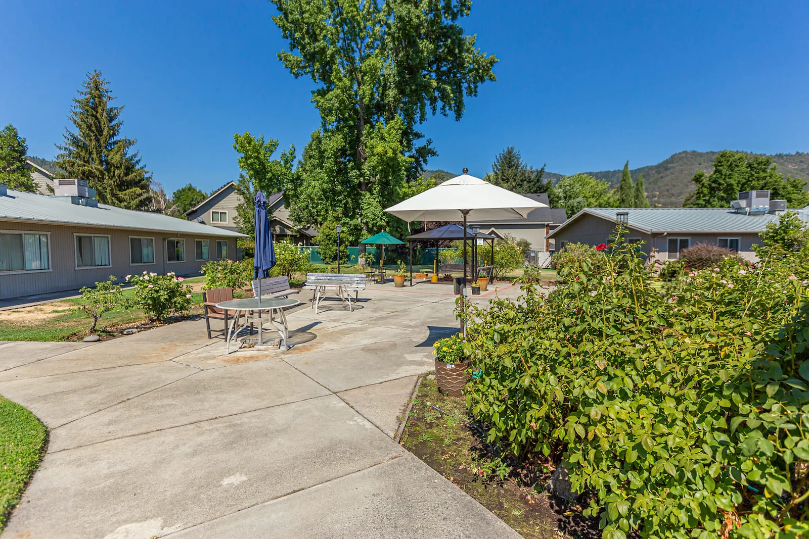 Image of Royale Gardens Health & Rehabilitation (3)