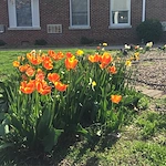 Image of Evansville Protestant Home (5)