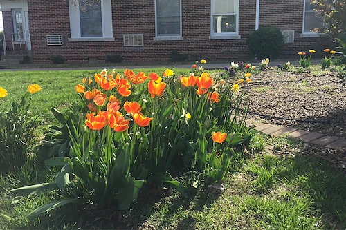 Image of Evansville Protestant Home (5)