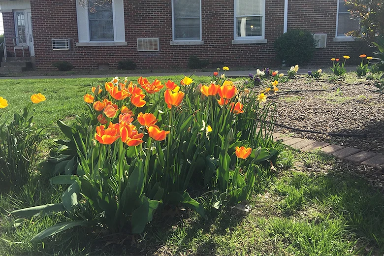 Image of Evansville Protestant Home (5)