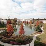 Image of Cypress of Charlotte (6)