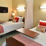 Image of Laurels Of Salisbury (6)