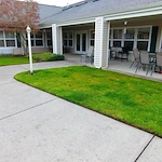 Image of The Iris by Bonvaneture (8)