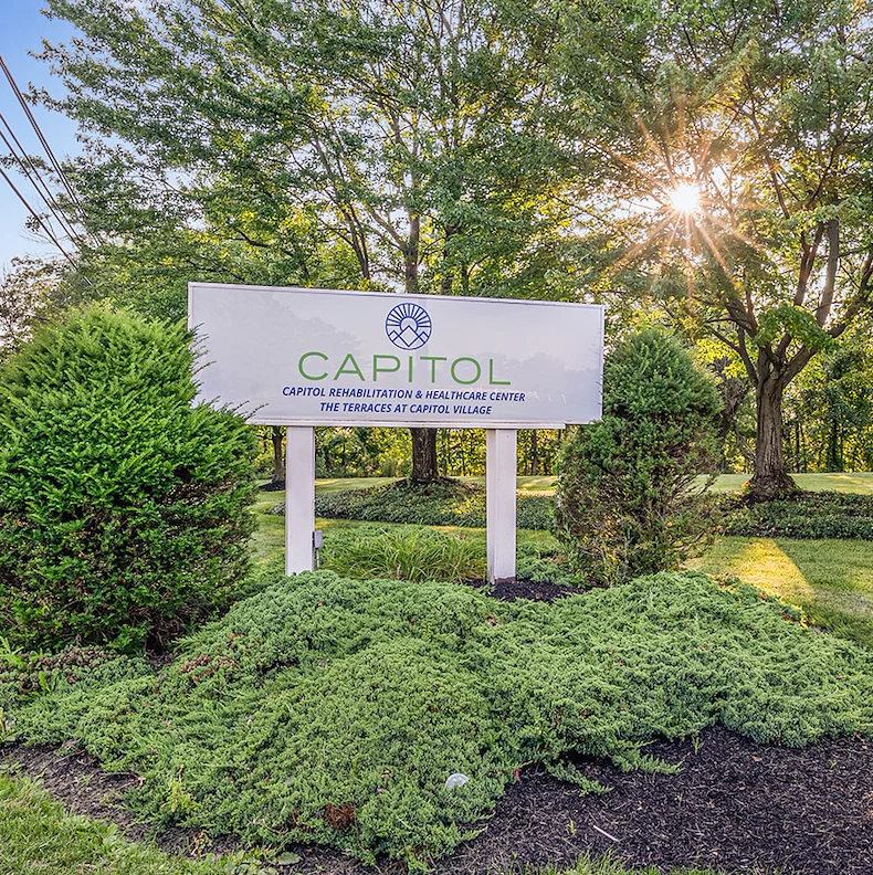 Image of The Terraces at Capitol Village (2)