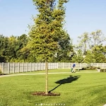 Image of Central Parke Senior Living (3)