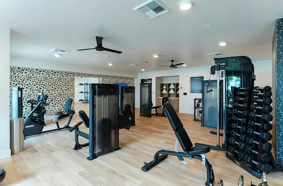 Image of Liv+ Union Peak (3)