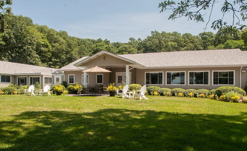 Image of Elderwood Of Scallop Shell At Wakefield (1)
