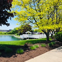 Image of Trinity Community at Miami Township (2)