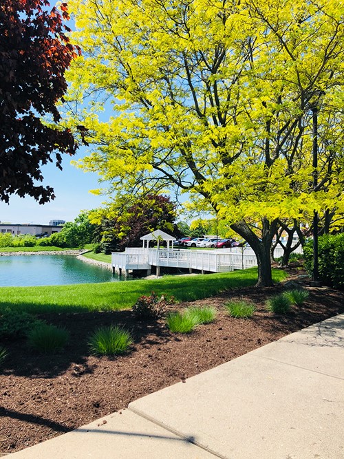 Image of Trinity Community at Miami Township (2)
