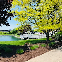 Image of Trinity Community at Miami Township (2)